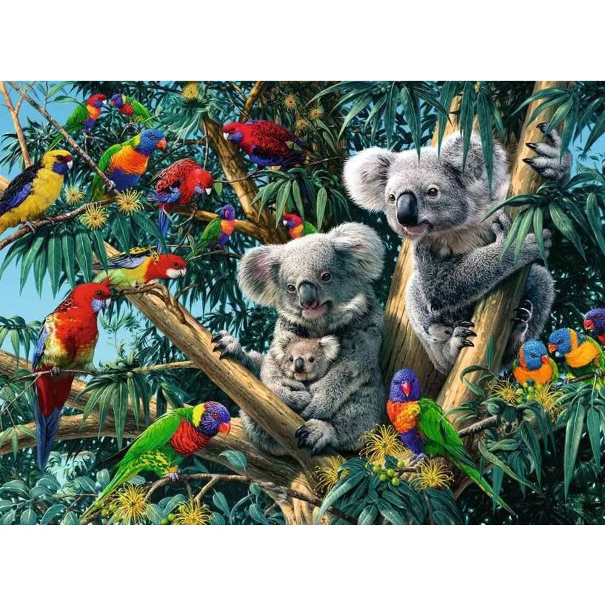 ravensburger-puzzle---koalas-35CB258C2.jpg