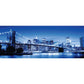 ravensburger-puzzle---leuchtendes-263DAC5A2.jpg