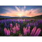 ravensburger-puzzle---lupinen-6EFF01C92.jpg