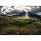 ravensburger-puzzle---mysterioese-A07BA2CB2.jpg