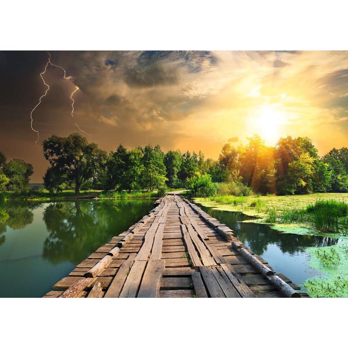 ravensburger-puzzle---mystisches-ED50E35D2.jpg