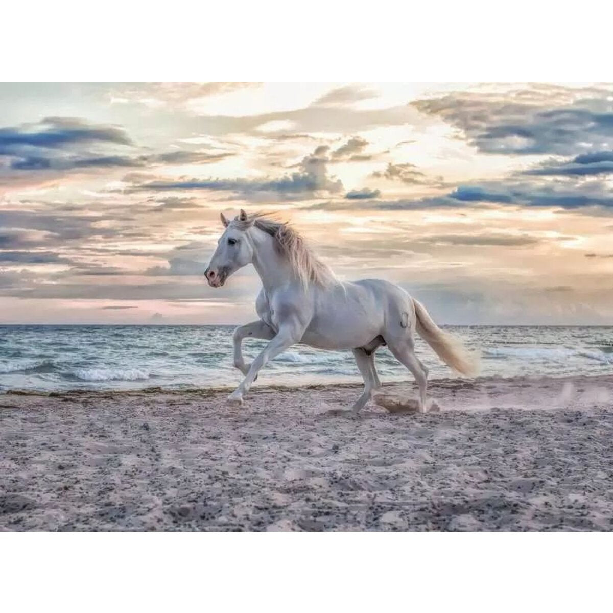 ravensburger-puzzle---pferd-5CEA18D02.jpg