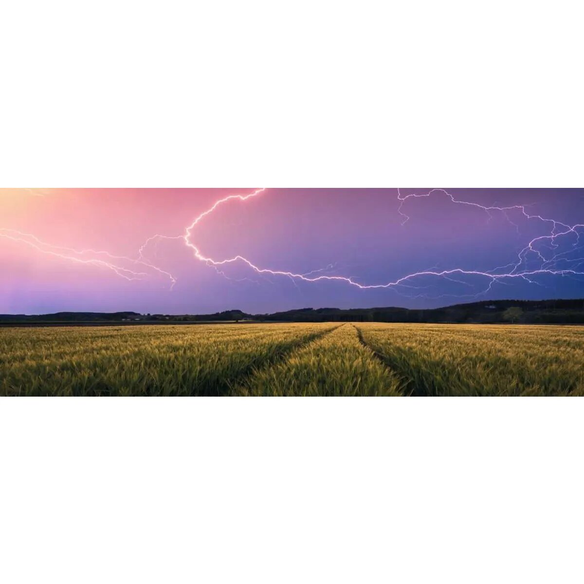 ravensburger-puzzle---sommergewitter-1F478BFE2.jpg