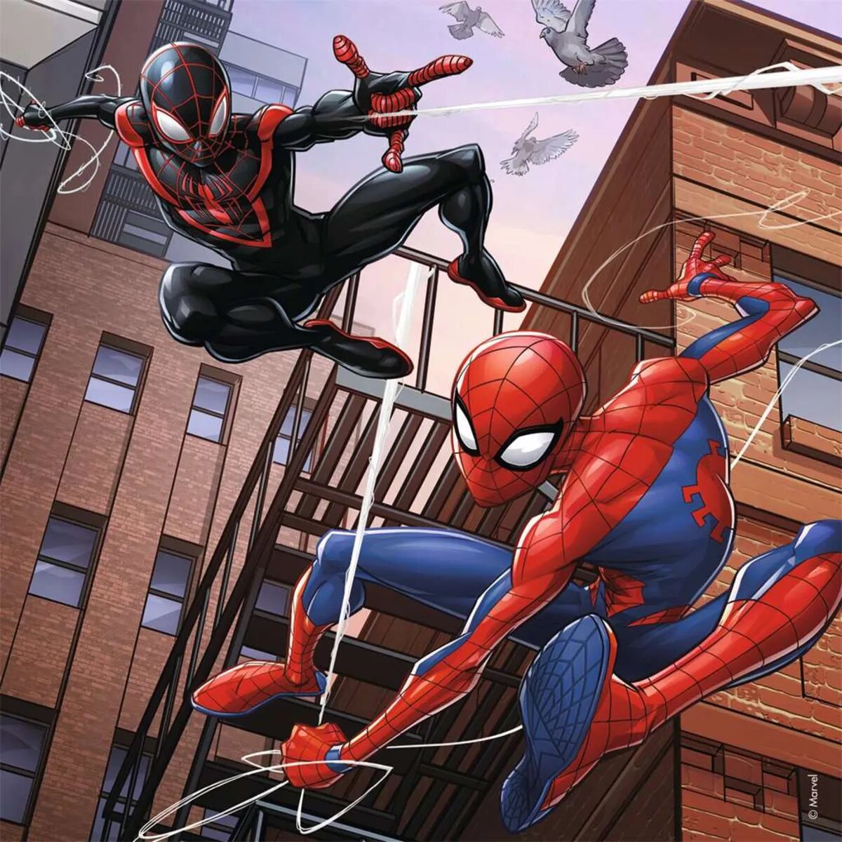 ravensburger-puzzle---spider-65F272A02.jpg