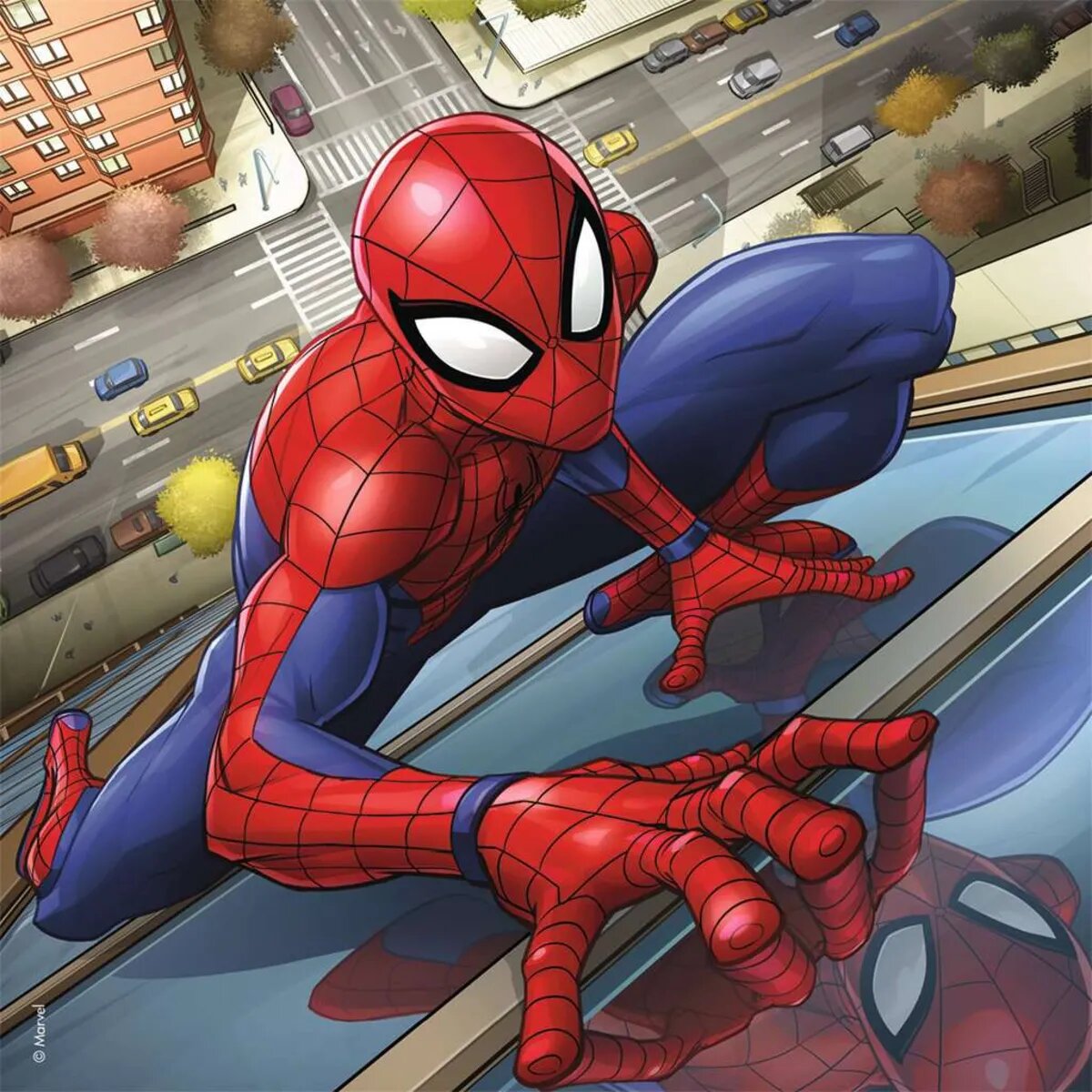 ravensburger-puzzle---spider-65F272A04.jpg