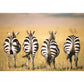 ravensburger-puzzle---zebra-87763BF12.jpg