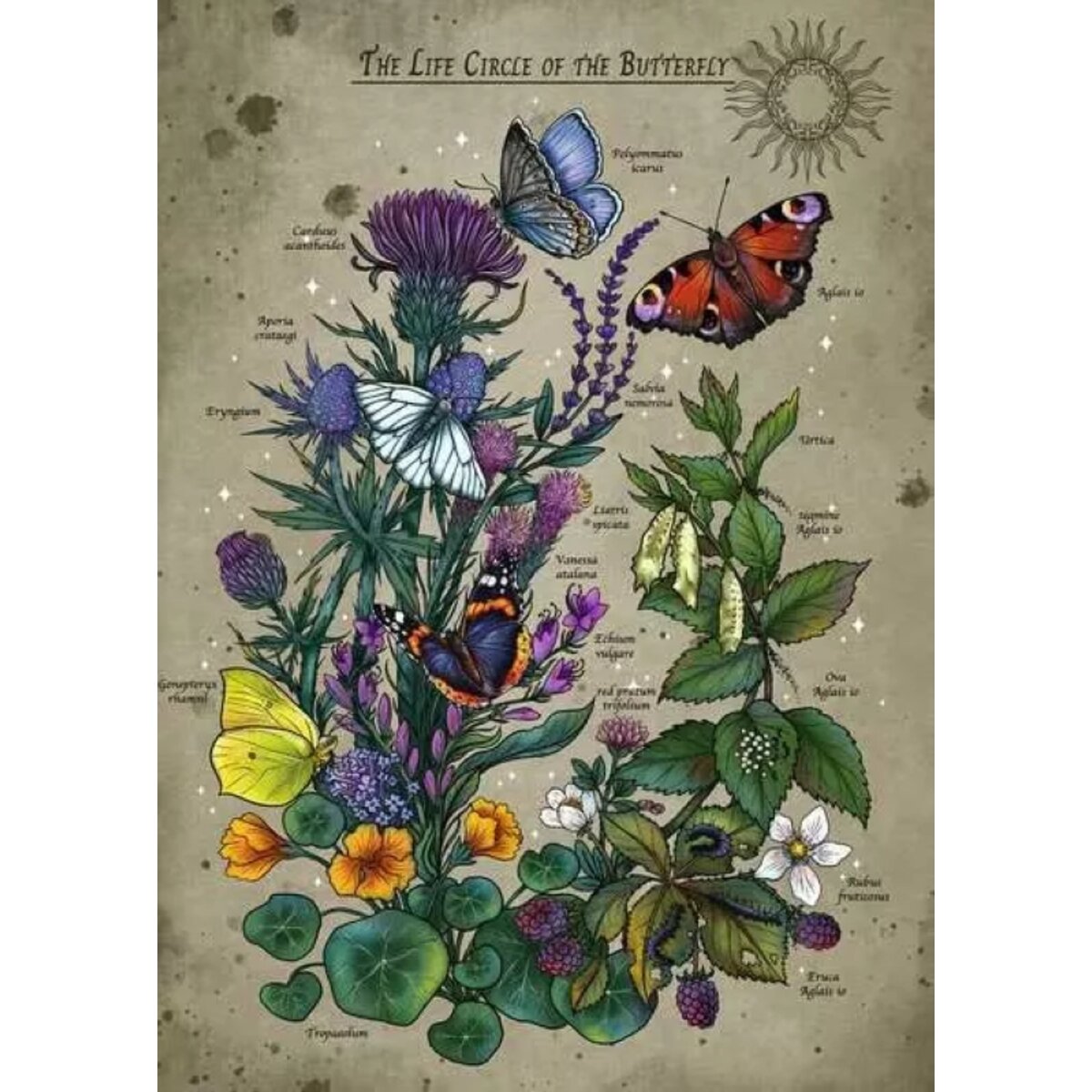 ravensburger-puzzle-1000-teile-lebenskreis-A0011FDF2.jpg