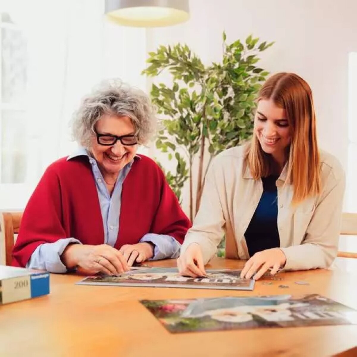 ravensburger-puzzle-200-teile-sommerhaus-C0DCB92A5.jpg