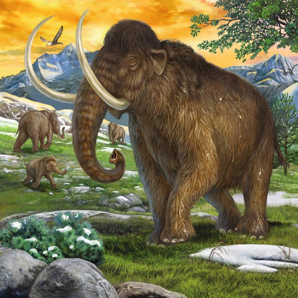 ravensburger-puzzle-herrscher-der-urzeit-BEEA94FD2.jpg