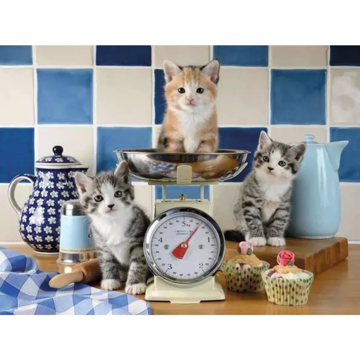 ravensburger-puzzle-kaetzchen-in-der-7F0BC2322.jpg