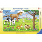 ravensburger-rahmenpuzzle-knuffige-tierfreunde-15-385E5C5D3.jpg