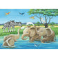 ravensburger-tierkinder-aus-aller-welt-7DB102D82.jpg