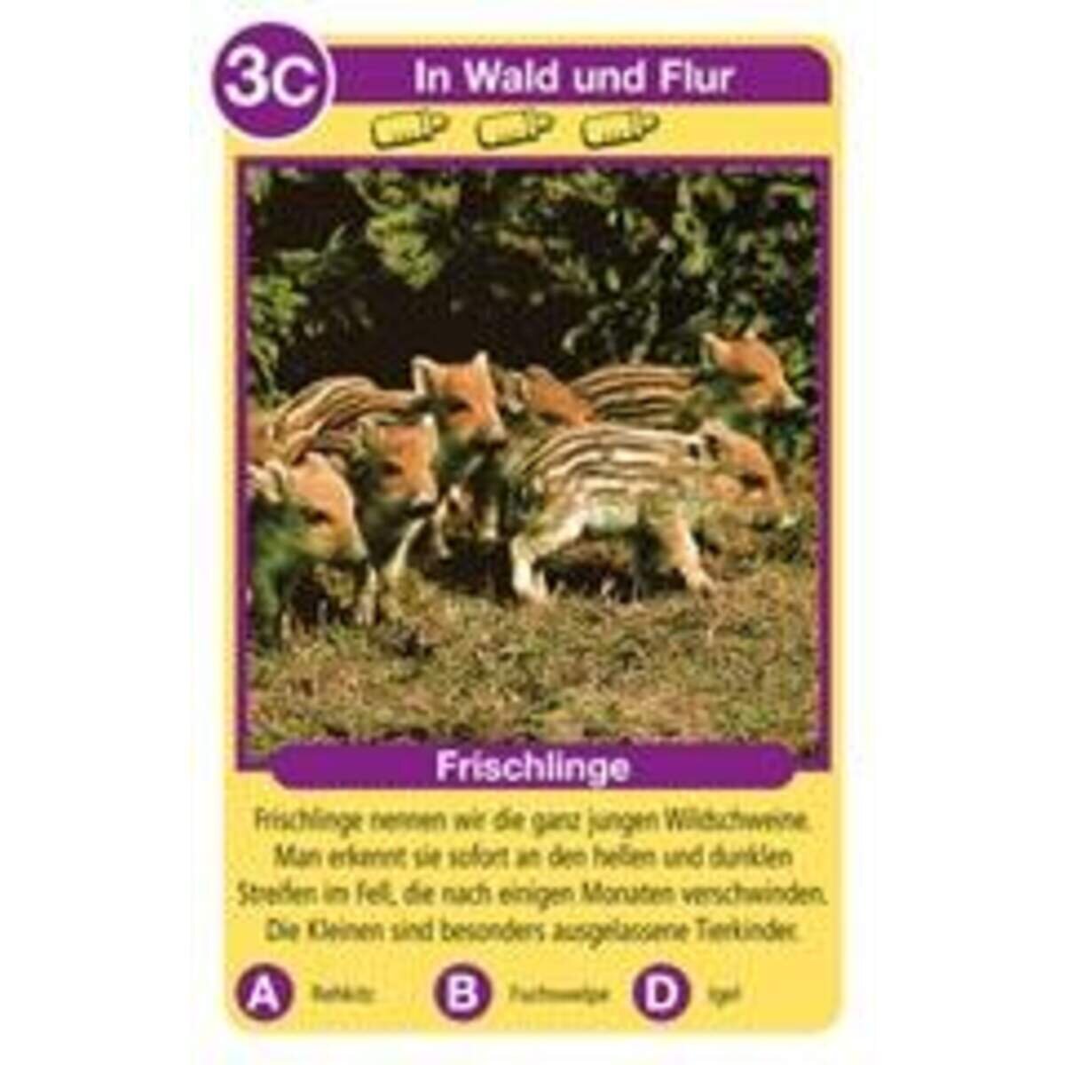 ravensburger-tierkinder-quartett-1F9241FA3.jpg