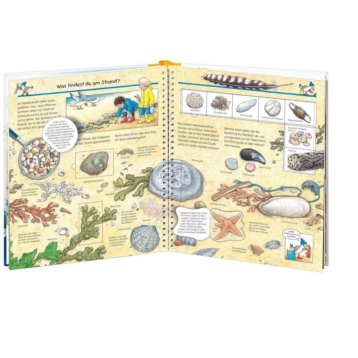 ravensburger-wieso-weshalb-warum-band-38E112503.jpg