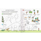ravensburger-wieso-weshalb-warum-dinosaurier-F748DDEA2.jpg