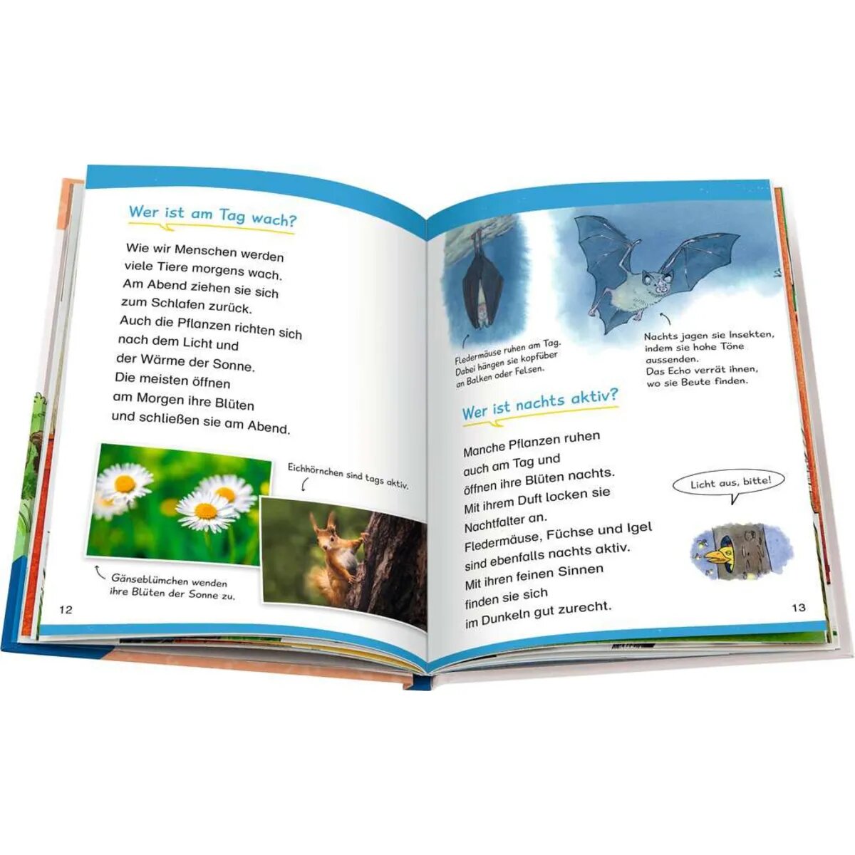 ravensburger-wieso-weshalb-warum-erstleser-657FF7833.jpg