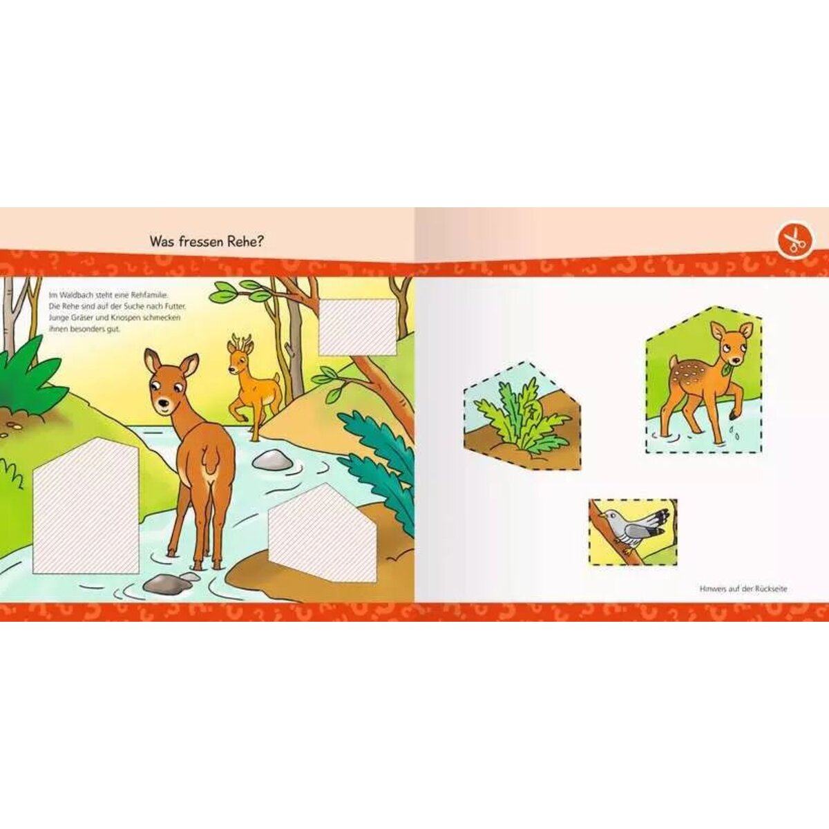 ravensburger-wieso-weshalb-warum-junior-C7964E763.jpg