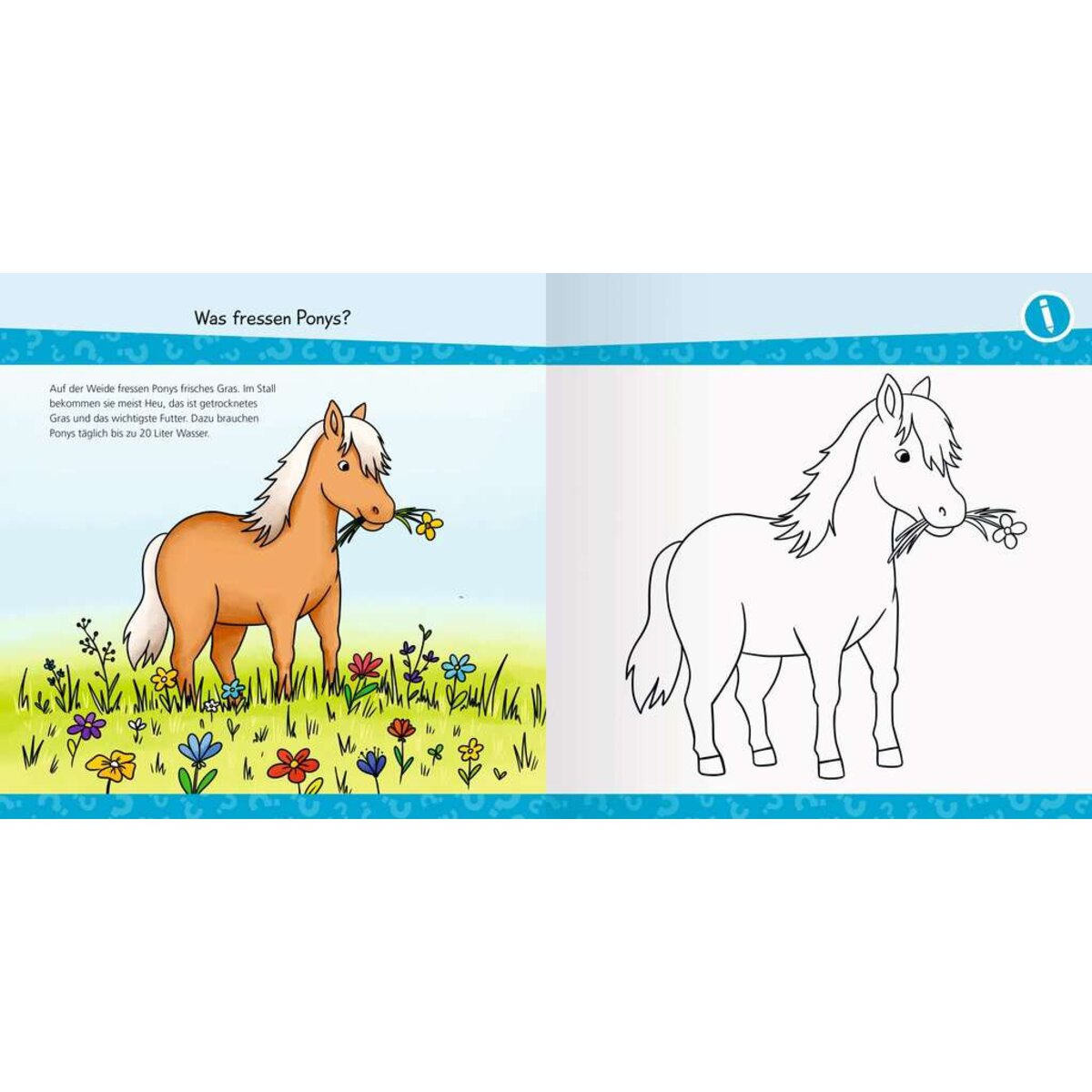 ravensburger-wieso-weshalb-warum-junior-EBE16F564.jpg