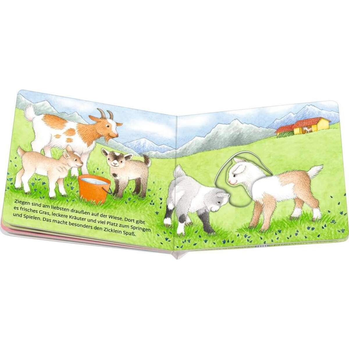 ravensburger-wuff-wie-spielt-der-3307C0744.jpg