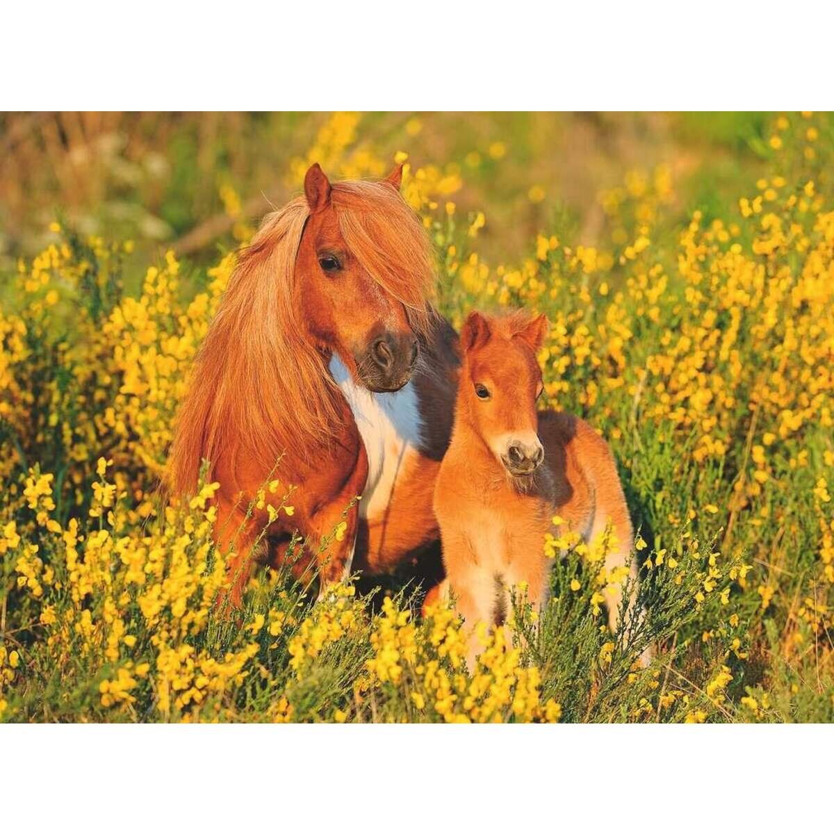 ravensburger-xxl-puzzle---AE47131F2.jpg