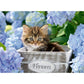 ravensburger-xxl-puzzle-flowers-300-5639A19B2.jpg