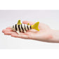 rc-mini-shark-B2BED2703.jpg