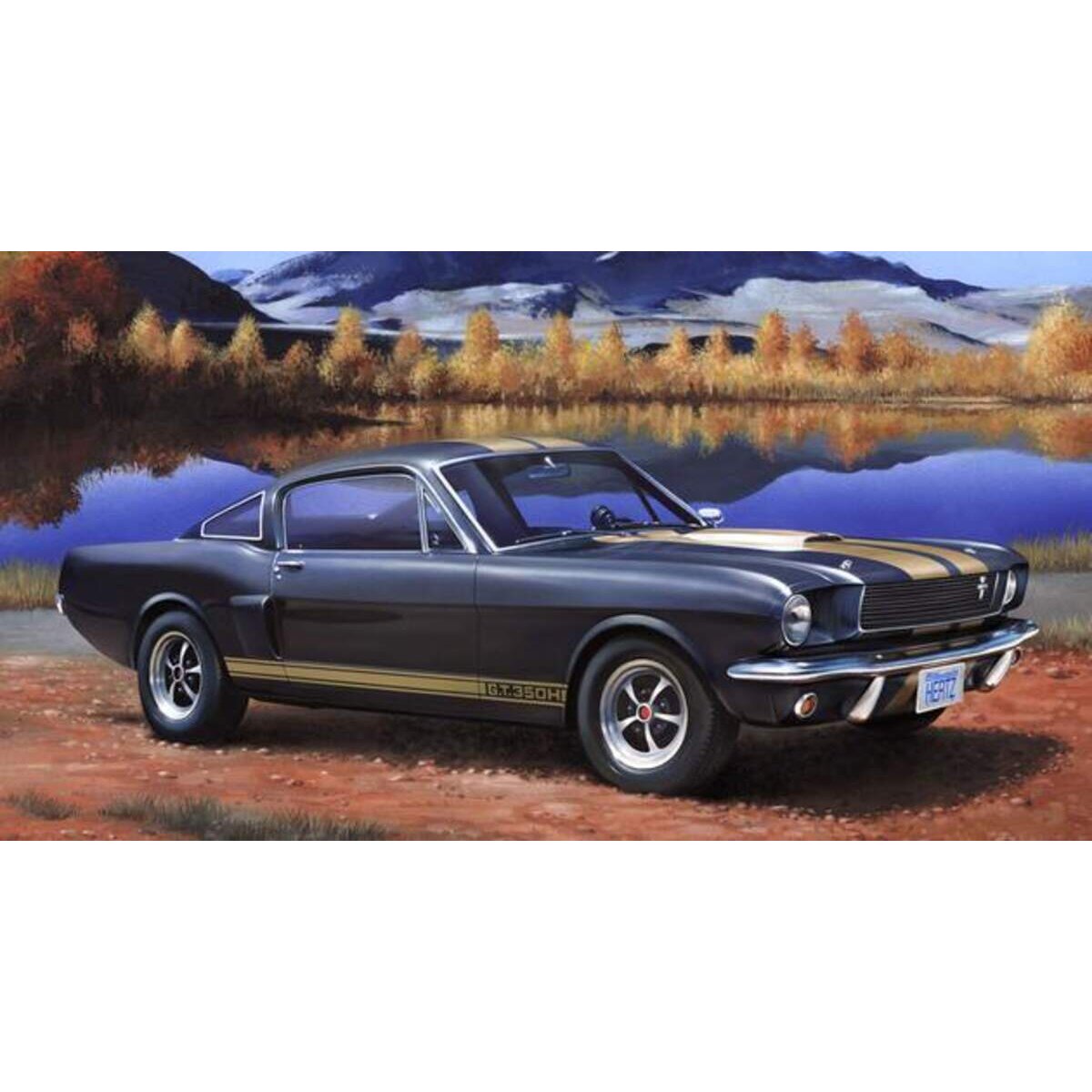 revell-shelby-mustang-gt-350-44C64D091.jpg