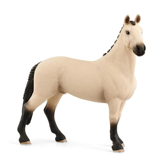 schleich-13928-horse-club-hannoveran-77F9BC611.jpg