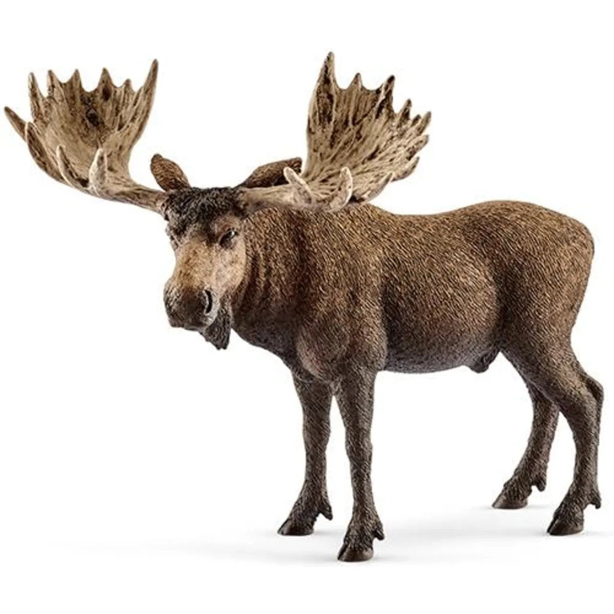 schleich-14781-elch-bulle-C21ED6261.jpg