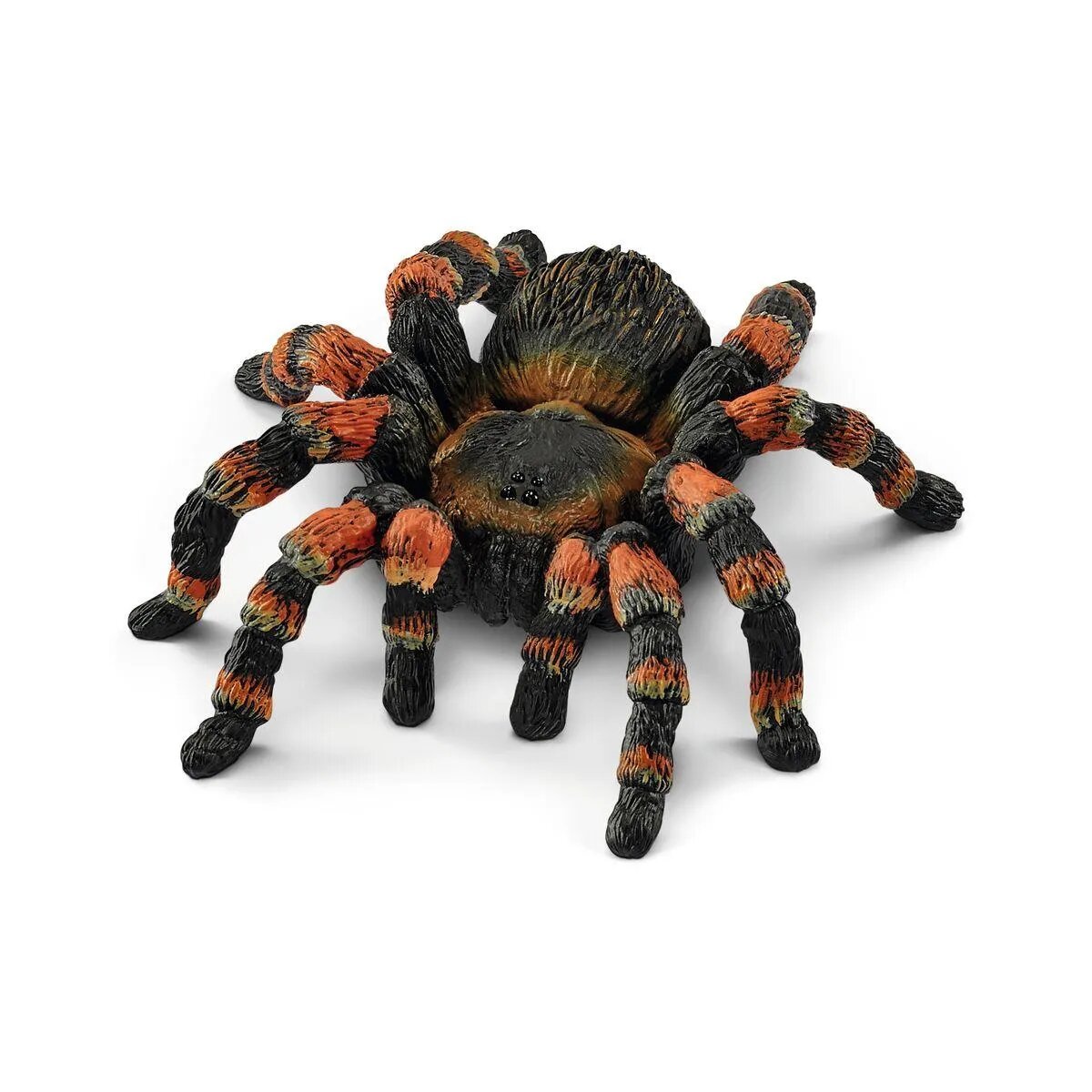 schleich-14829-wild-life-vogelspinne-A547F8851.jpg