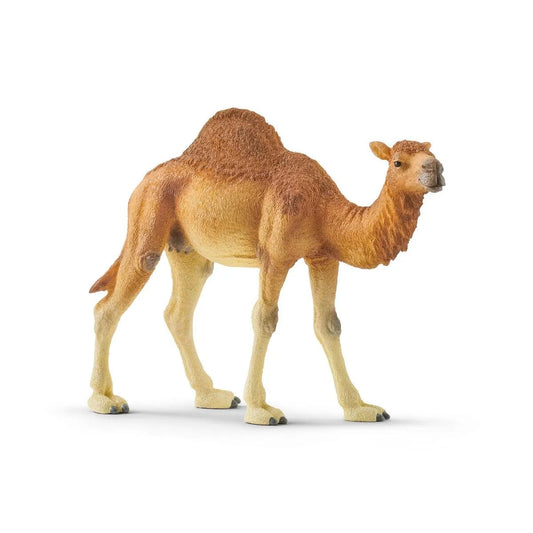 schleich-14832-wild-life-dromedar-7C96D1F91.jpg