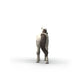 schleich-14916-knabstrupper-wallach-D93E80C93.jpg