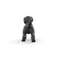 schleich-14922-schwarzer-labrador-retriever-B3F0DC373.jpg