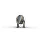 schleich-15050-triceratops-22-x-B4A25EA43.jpg