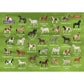 schmidt-spiele-schleich--horse-7E06E4023.jpg
