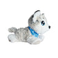 simba-chi-chi-love-happy-E7AAD82D3.jpg