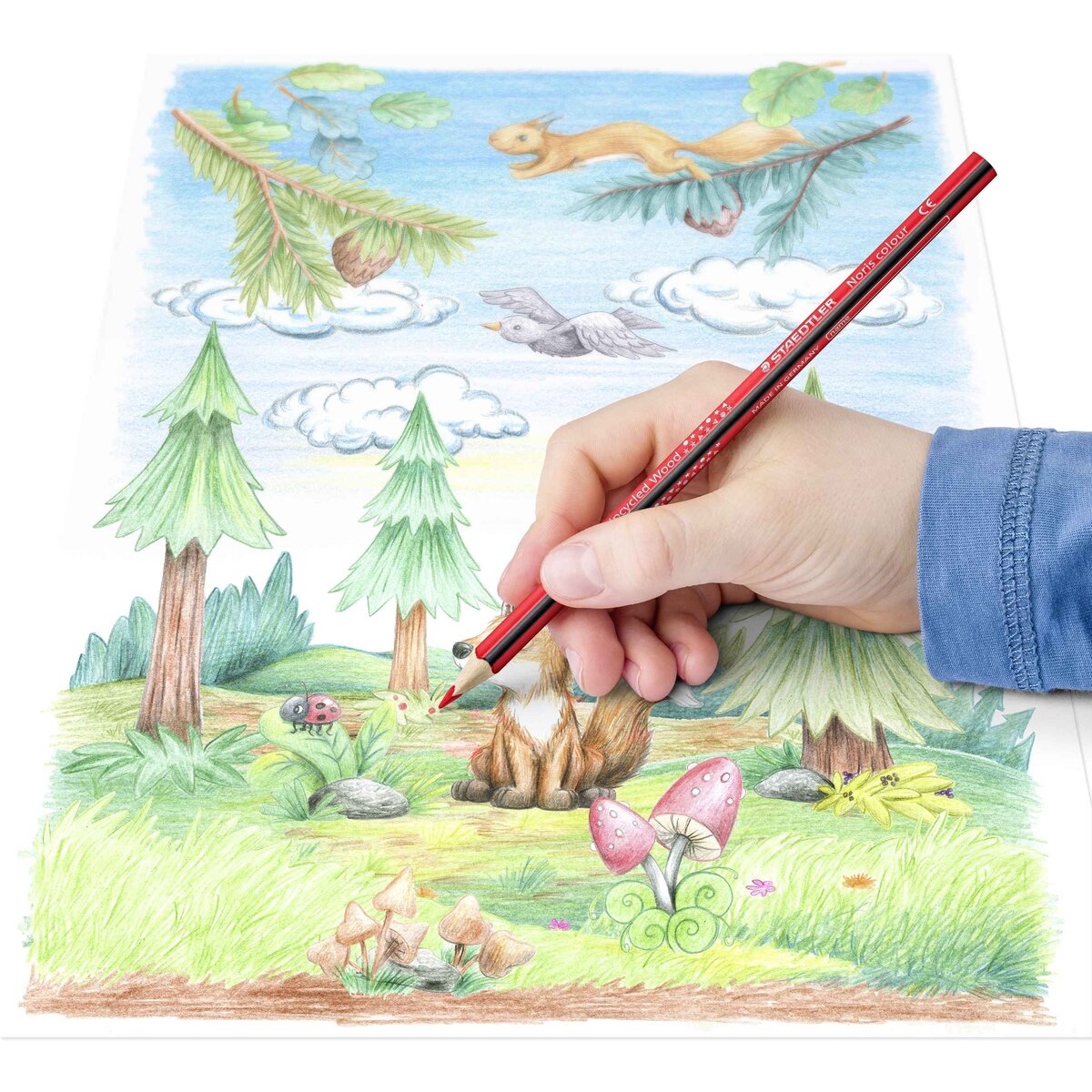 staedtler-noris-colour-187-buntstift-10874FB14.jpg