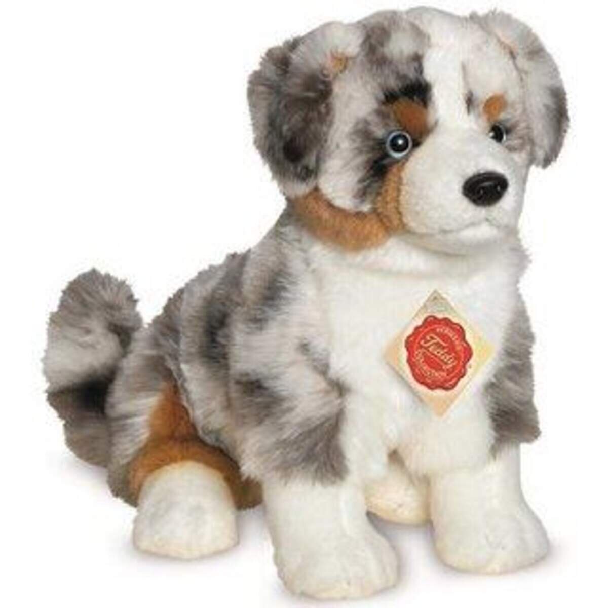 teddy-hermann-australian-shepherd-welpe-35F02BEF1.jpg