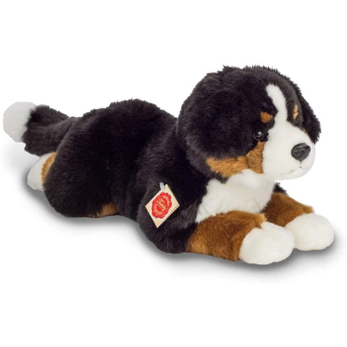 teddy-hermann-berner-sennehund-liegend-F84A11741.jpg