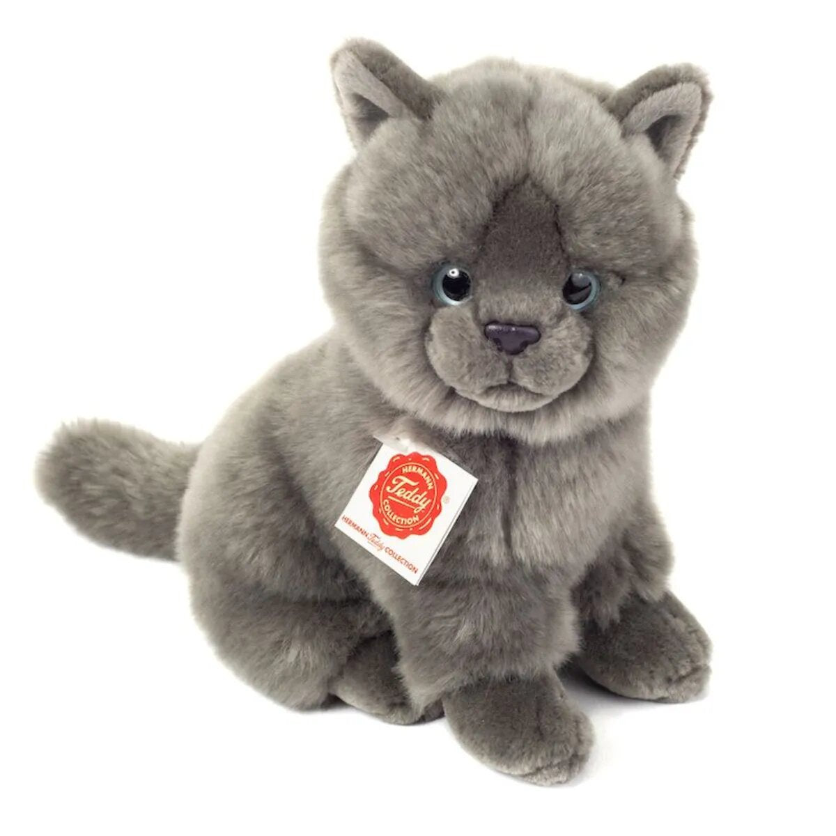 teddy-herrmann-kartaeuser-katze-sitzend-DDA85B011.jpg