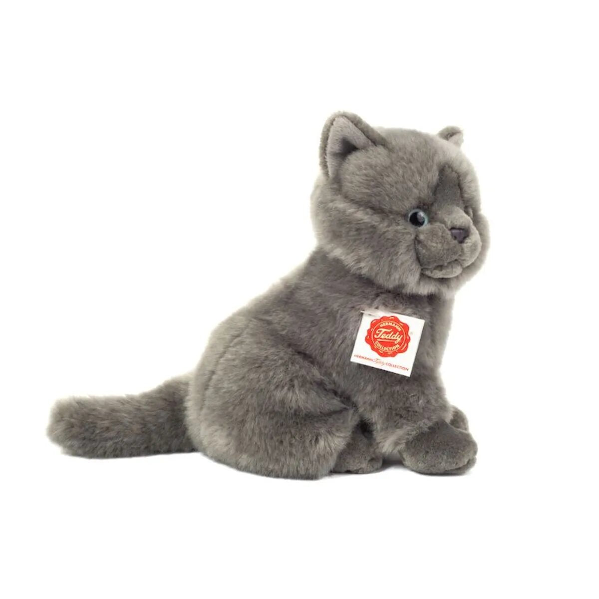 teddy-herrmann-kartaeuser-katze-sitzend-DDA85B012.jpg