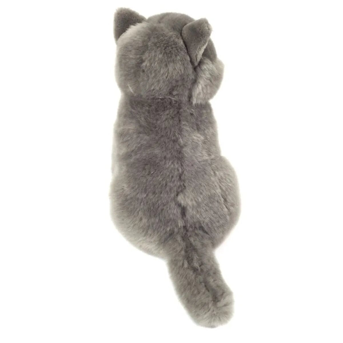 teddy-herrmann-kartaeuser-katze-sitzend-DDA85B013.jpg