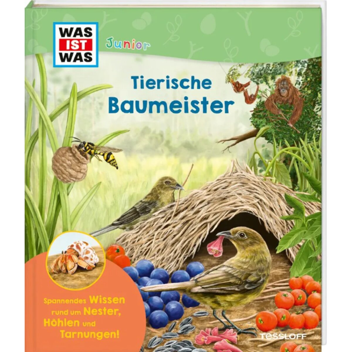 tessloff-was-ist-was-junior-7DBB3EC91.jpg