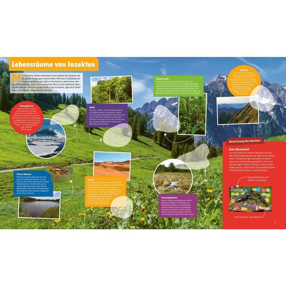 tessloff-was-ist-was-stickerheft-4F60D61F2.jpg