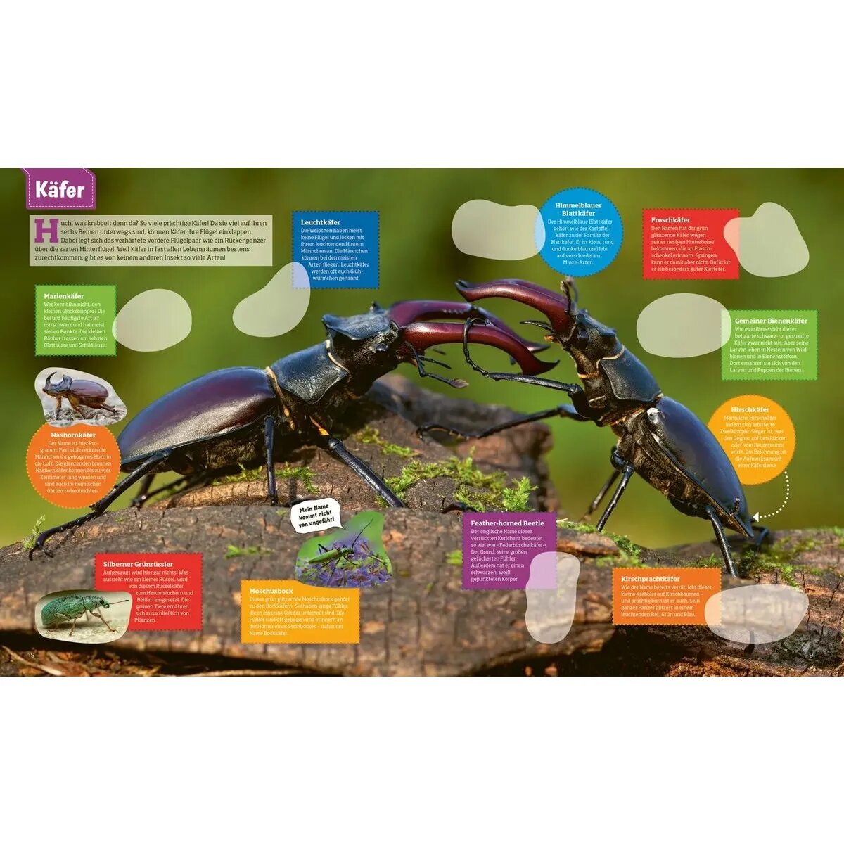 tessloff-was-ist-was-stickerheft-4F60D61F4.jpg