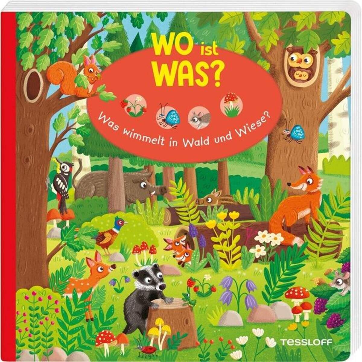 Tessloff WO ist WAS? Was wimmelt in Wald und Wiese?