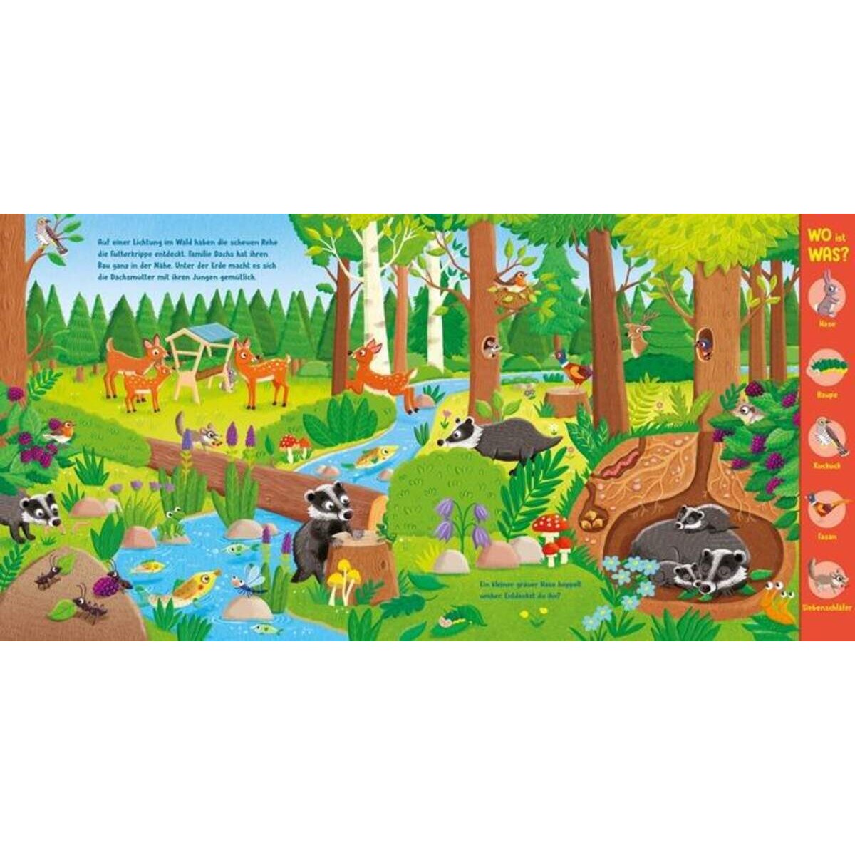 Tessloff WO ist WAS? Was wimmelt in Wald und Wiese?