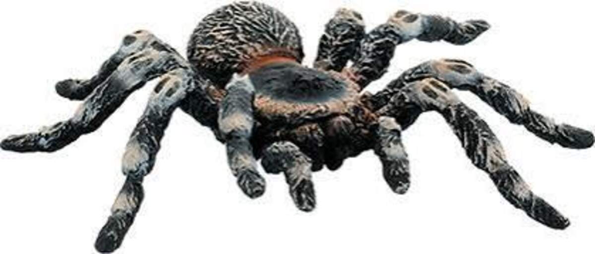 Bullyland 68457 Spielfigur Weißknie Vogelspinne mit beweglichen Beinen, ca. 8,5 cm