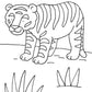 Carlsen Verlag Mein erstes großes Malbuch: Wilde Tiere : Malen ab 3 Jahren