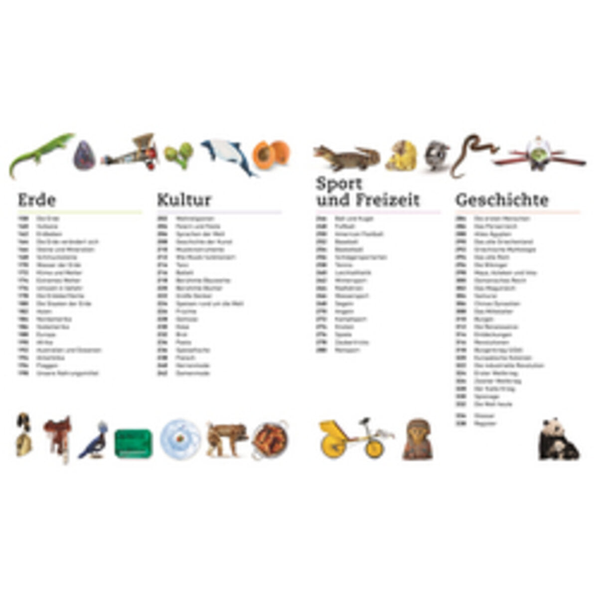 DK Verlag Bilderpedia